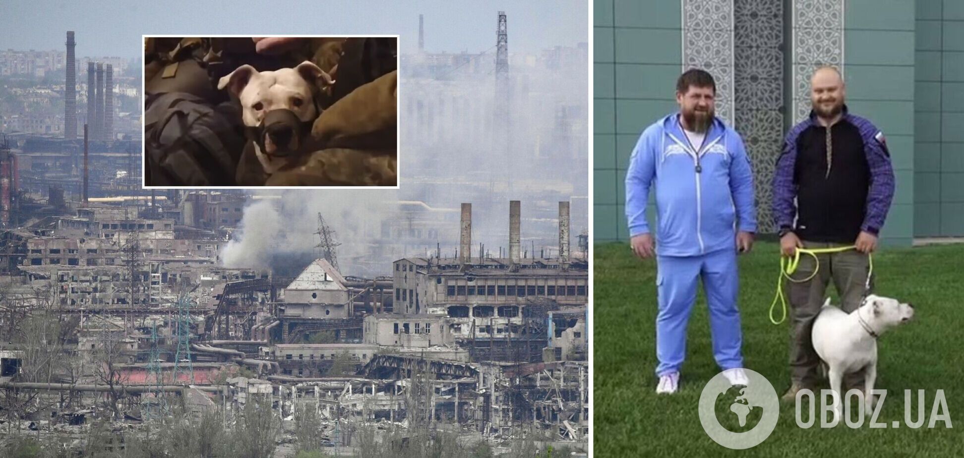 Захватившие Мариуполь оккупанты украли собаку защитницы 'Азовстали' и подарили Кадырову. Видео