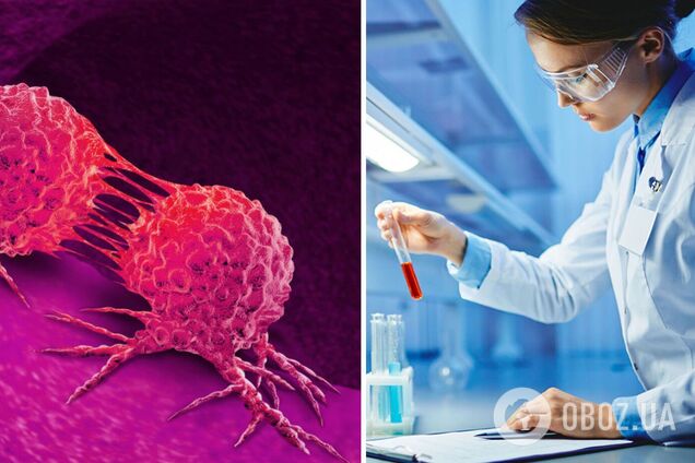 Ученые ищут способы борьбы с раком