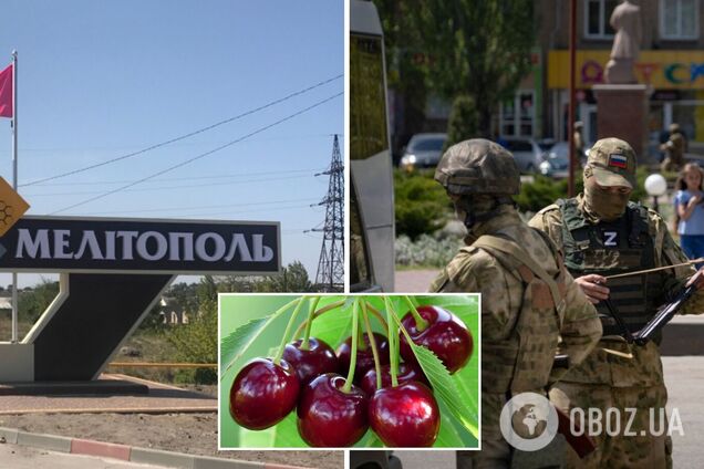 Фермеры-'партизаны' в Мелитополе передали оккупантам отравленную черешню