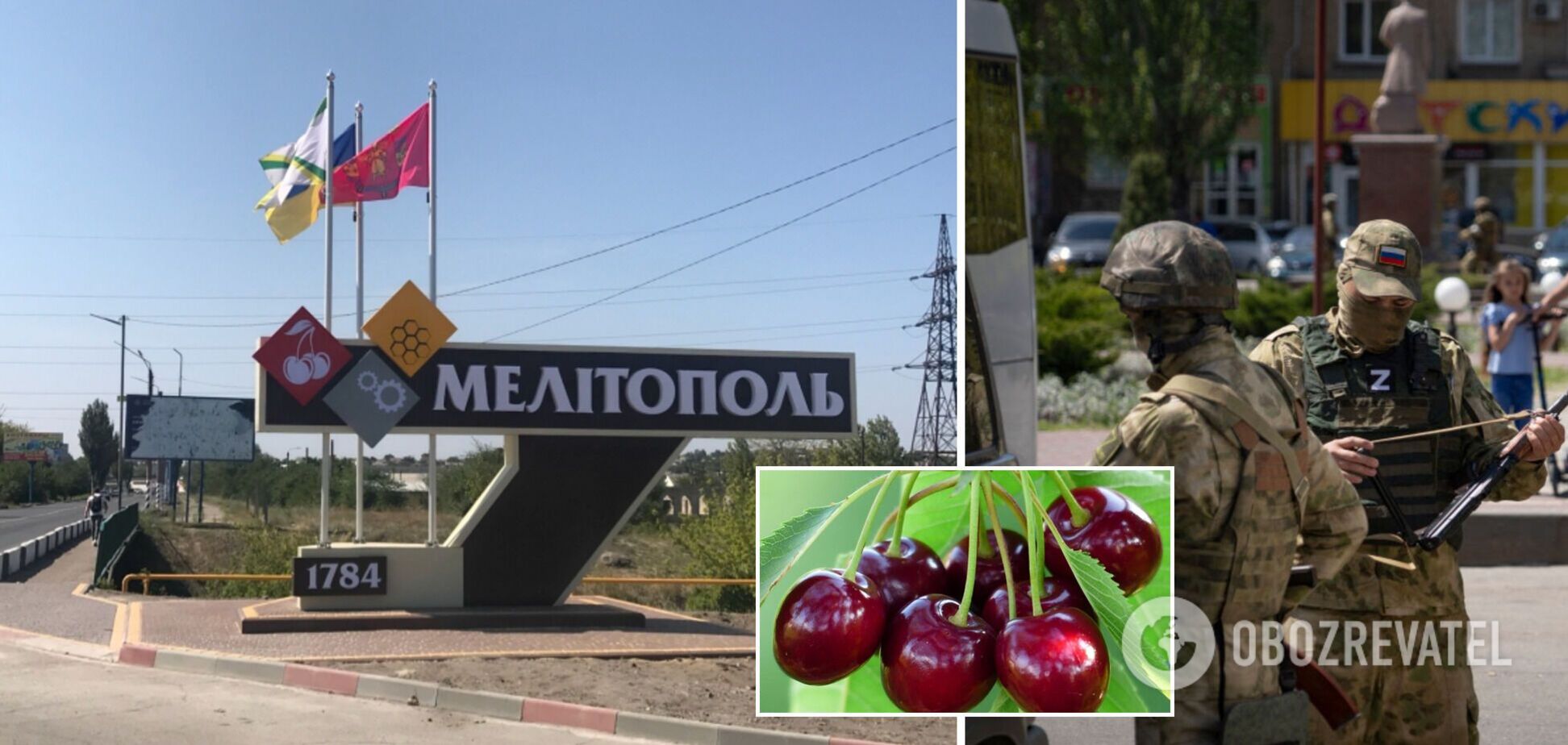 Фермеры-'партизаны' в Мелитополе передали оккупантам отравленную черешню