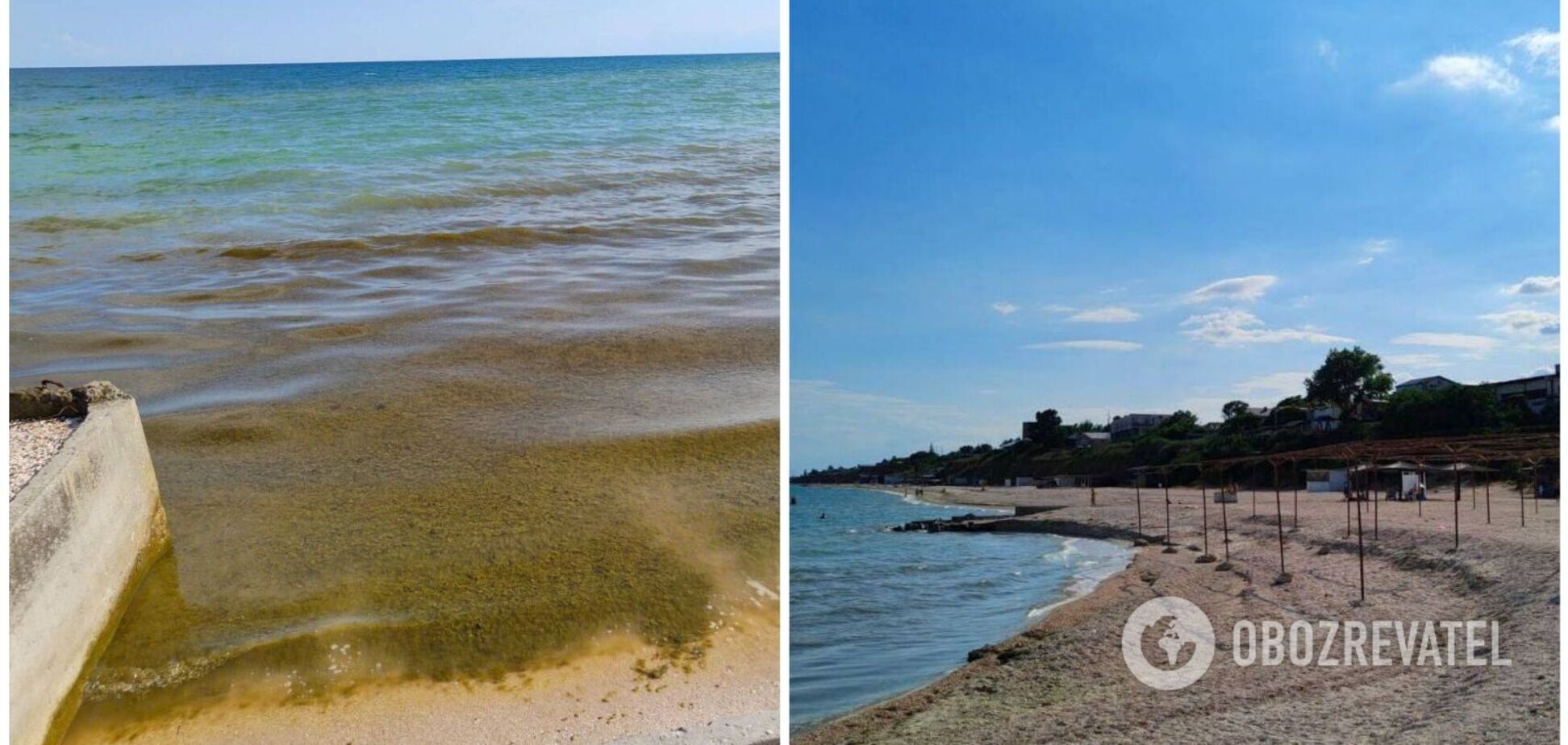 Море в Кирилловке из-за цветения водорослей превратилось в болото: на пляж не едут даже местные. Видео