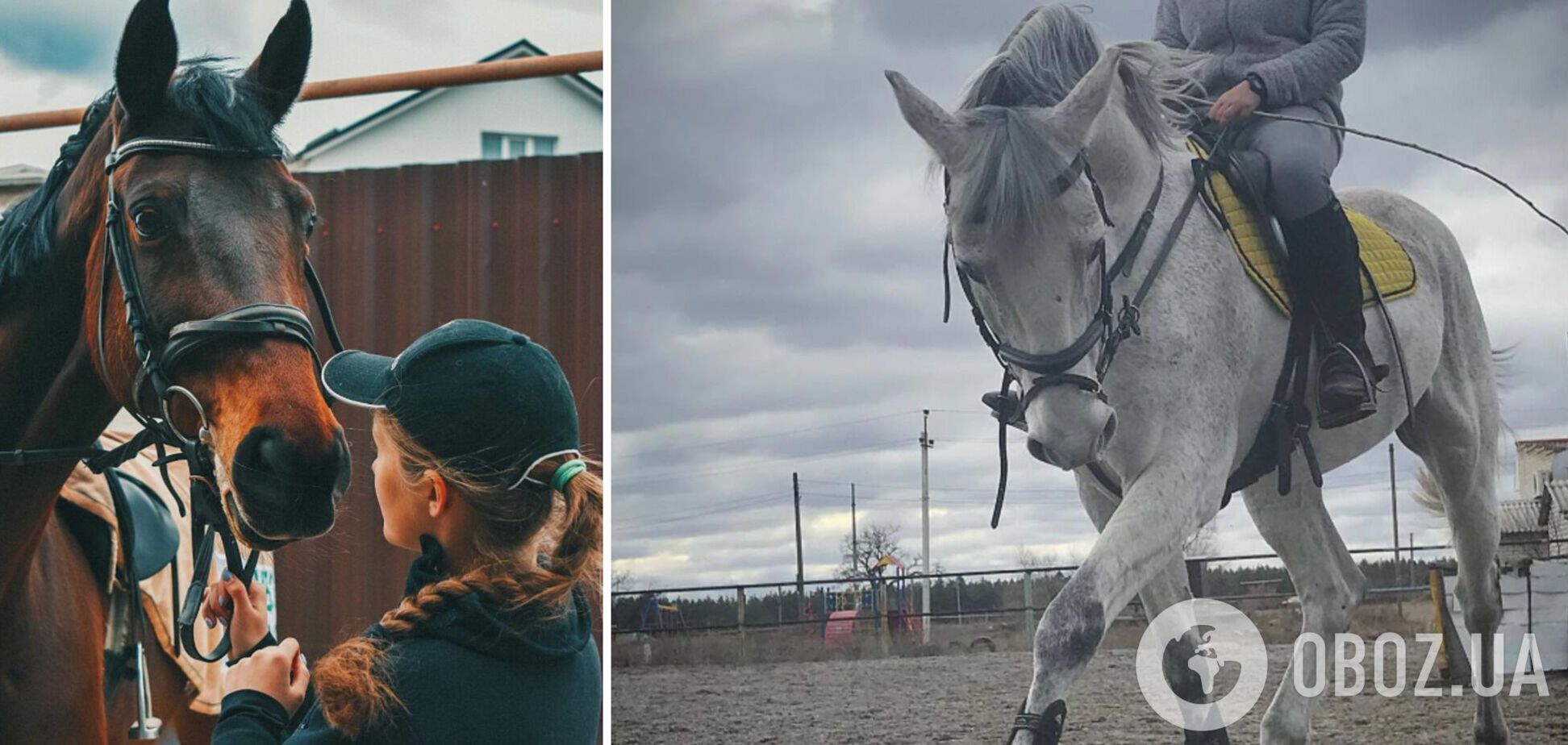 'Згоріло все': під Сєвєродонецьком внаслідок ворожих обстрілів загинули коні. Фото