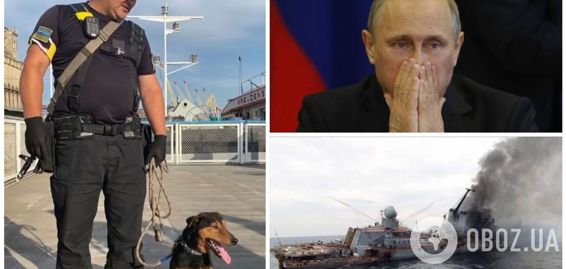 Украинский пес-'пограничник' показал, что думает о 'русском корабле' и Путине. Видео
