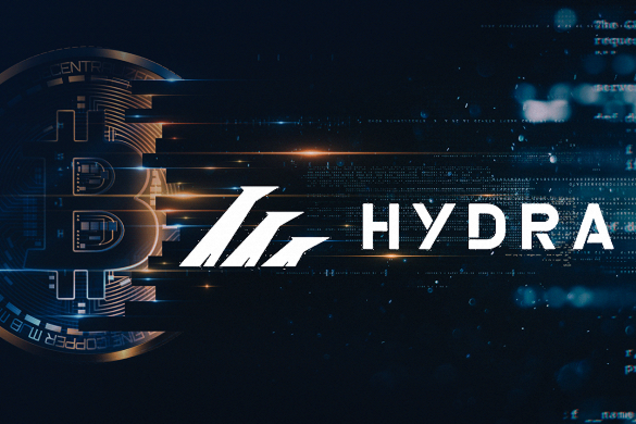 В МВД Украины передали данные даркнет-магазина по продаже наркотиков 'Гидра'