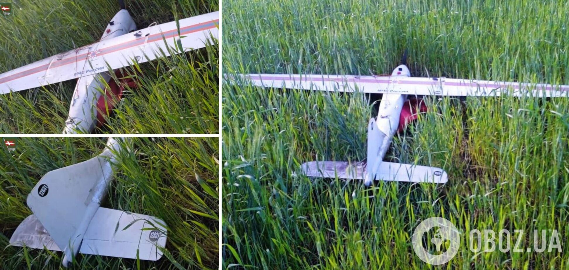 'Яструби-зенітники в дії': ЗСУ збили ворожу 'пташку'. Фото