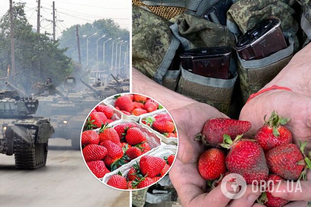 Оккупанты ищут подработок на клубнике