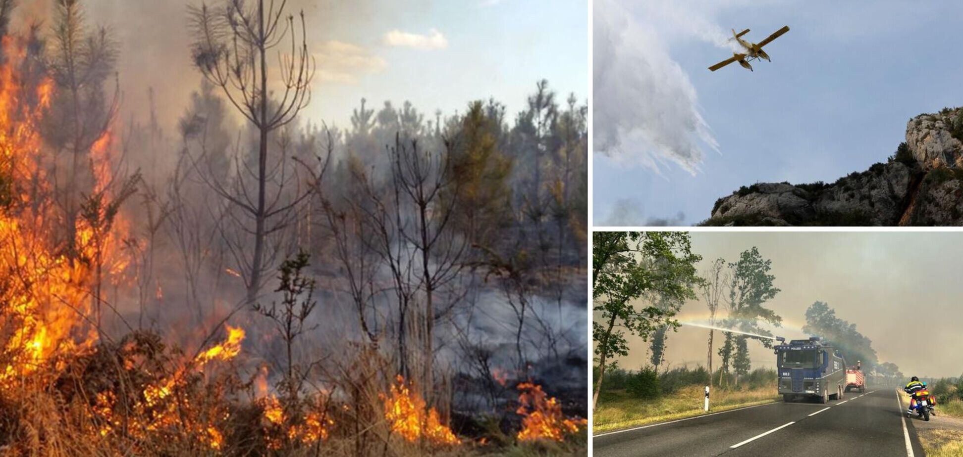 Европу накрыла аномальная жара: в Испании и Германии вспыхнули масштабные пожары. Фото и видео