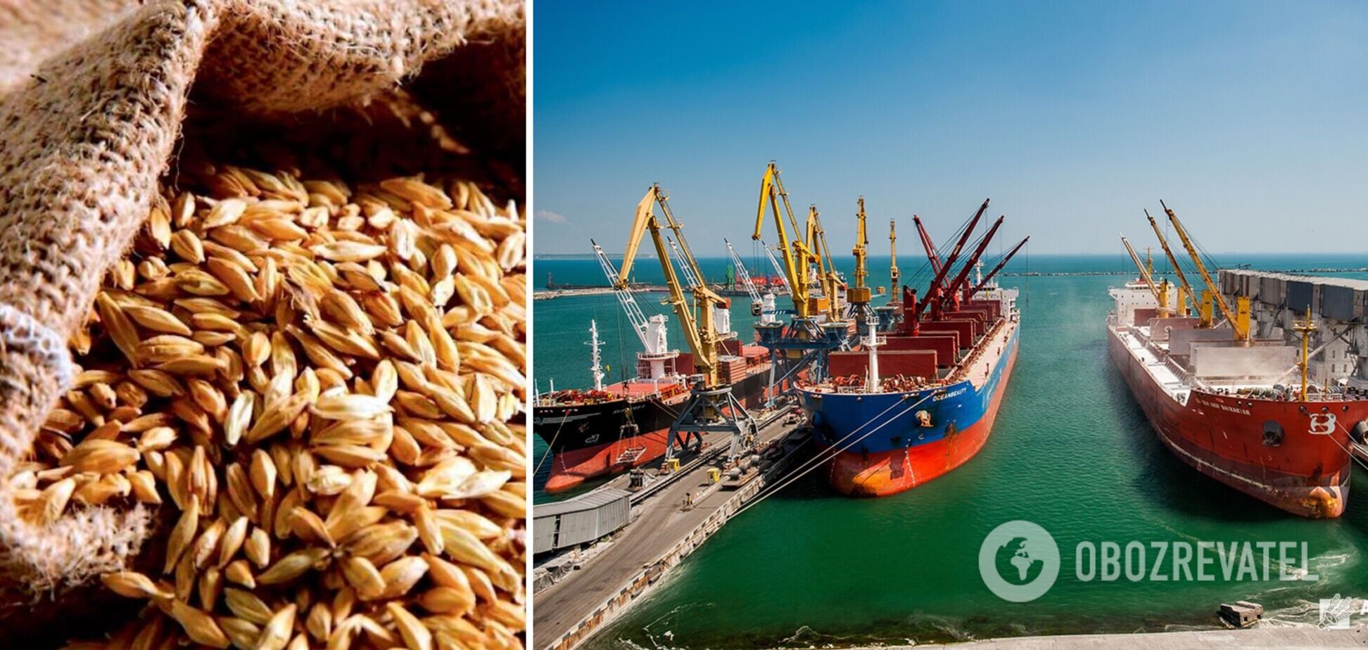Розблокування українського зерна в портах: у МВС назвали умову успіху