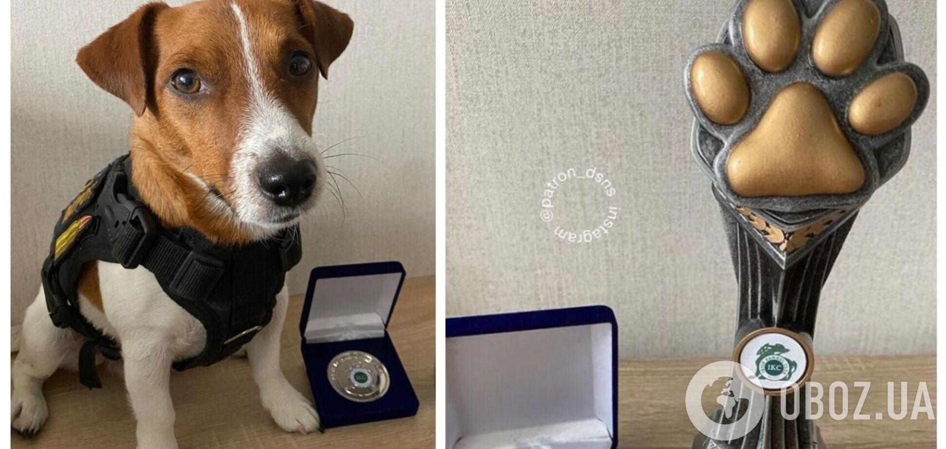 Пес-сапер Патрон отримав нову нагороду та присвятив її всім службовим собакам. Фото