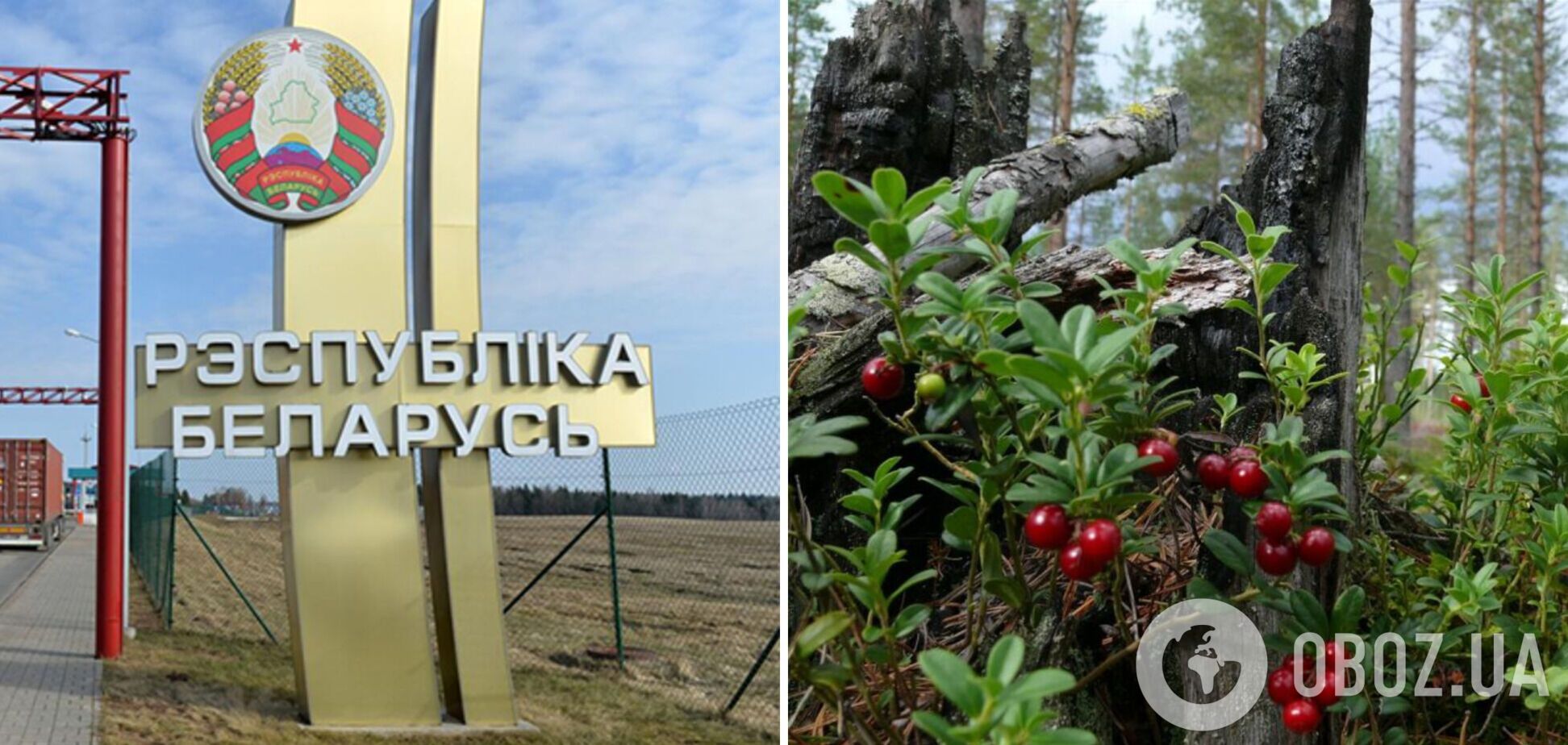 Госпогранслужба заявила о провокации со стороны Беларуси