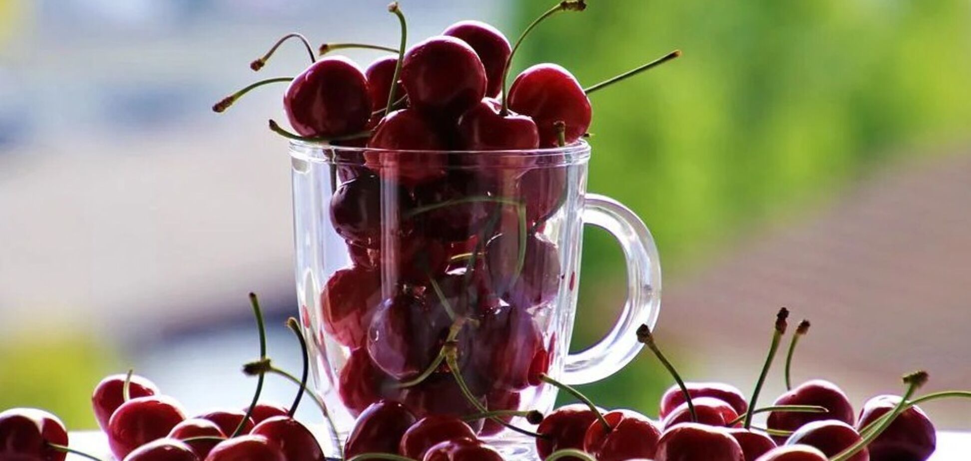 Как приготовить вишневую наливку на водке: элементарный рецепт