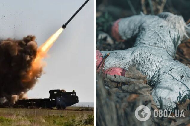 'Боже, зупини цей жах!' Вбивство окупантами 6-річної дівчинки в Очакові шокувало українських зірок