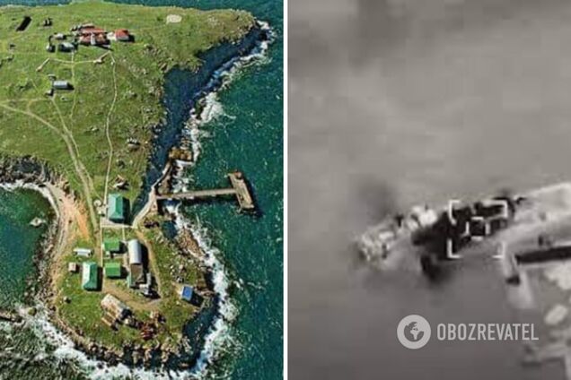 Оккупанты могли отойти от Змеиного