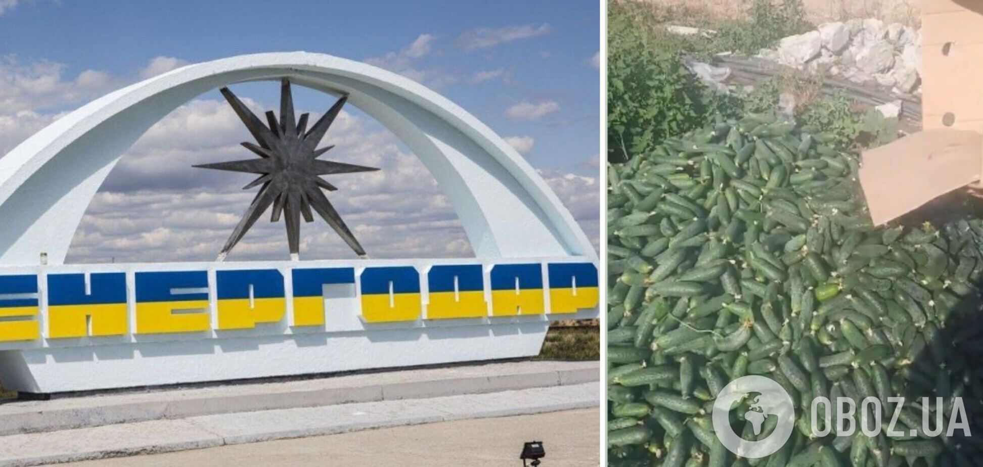 Во временно оккупированном Энергодаре фермеры выбрасывают на свалку тонны огурцов