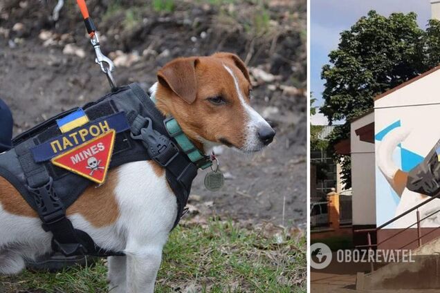 В Киеве появился мурал, посвященный псу-саперу Патрону. Фото