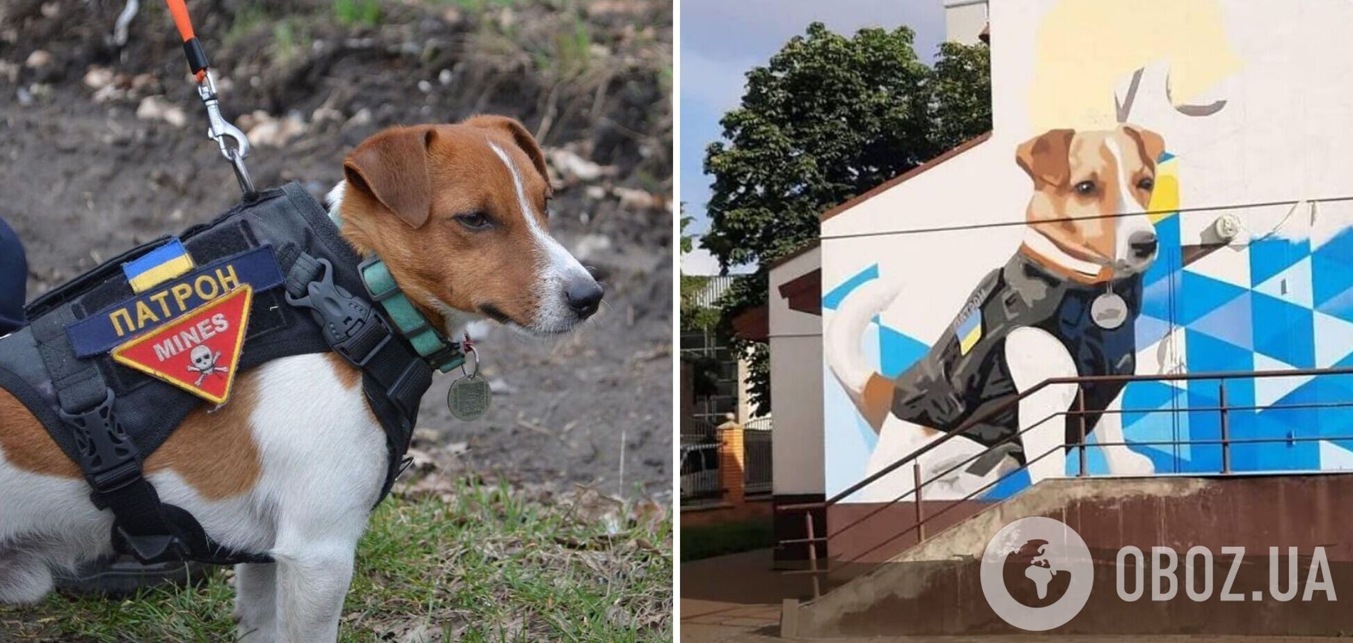 В Киеве появился мурал, посвященный псу-саперу Патрону. Фото