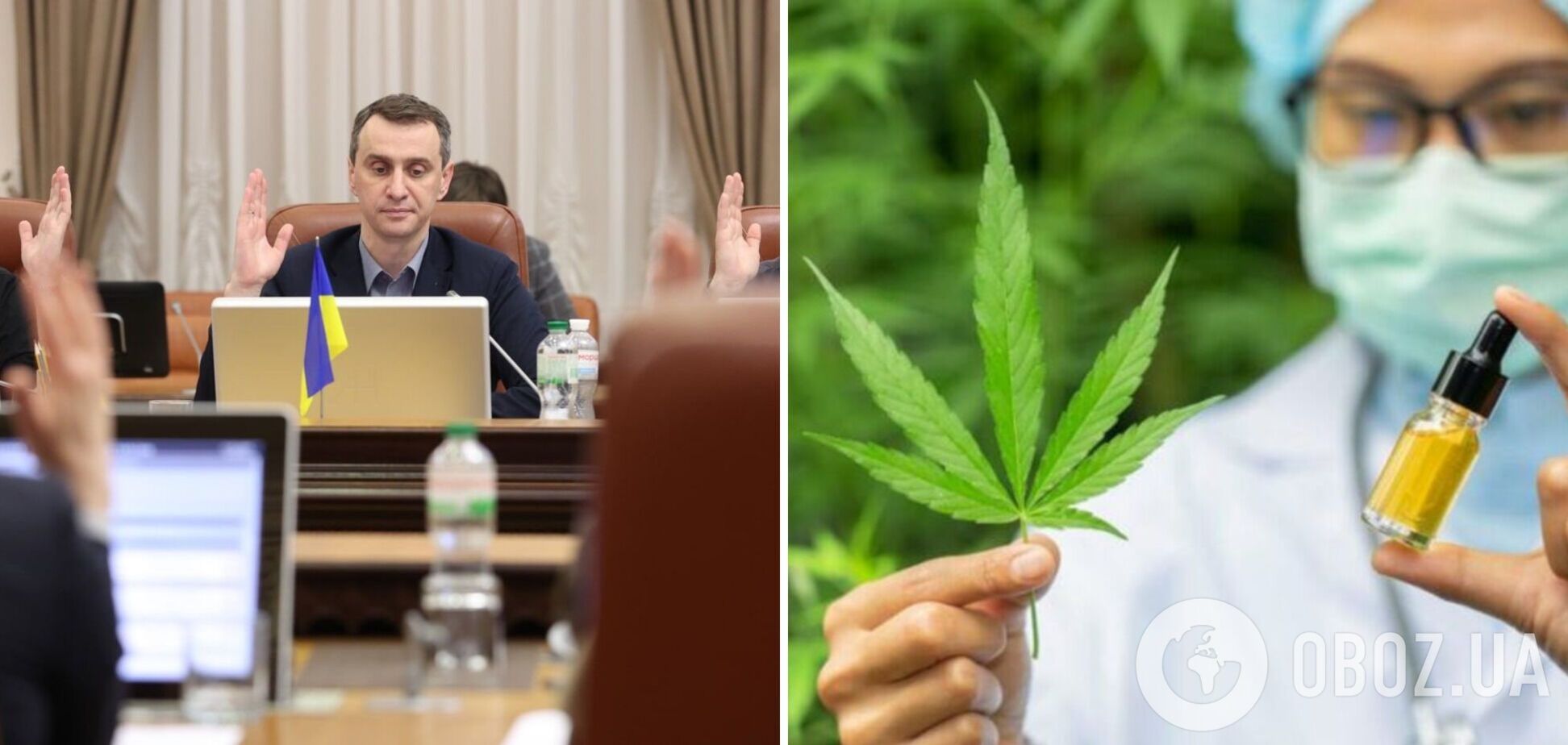 Кабмін підтримав легалізацію медичного канабісу