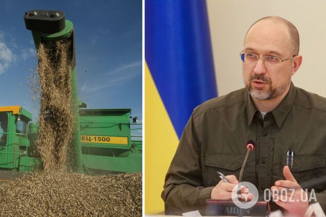 Шмыгаль заявил об объемах заблокированного в Украине зерна