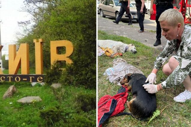 В Киеве в микроавтобусе обнаружили трупы собак