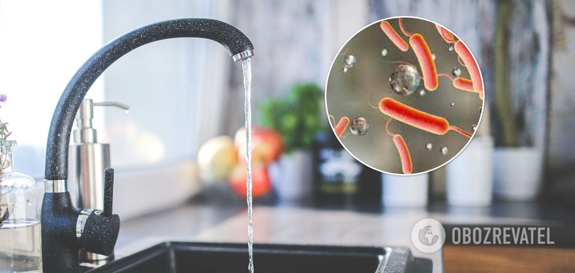 Холеры в Одессе нет: в горсовете призвали не верить фейкам