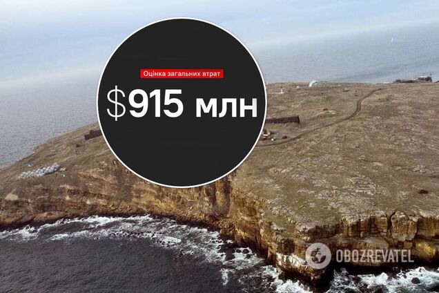 'Жест доброй воли' на Змеином обошелся российскому бюджету почти в $1 млрд – Forbes