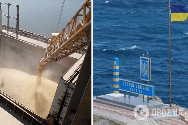 Освобождение острова Змеиного поможет быстрее вывозить украинское зерно