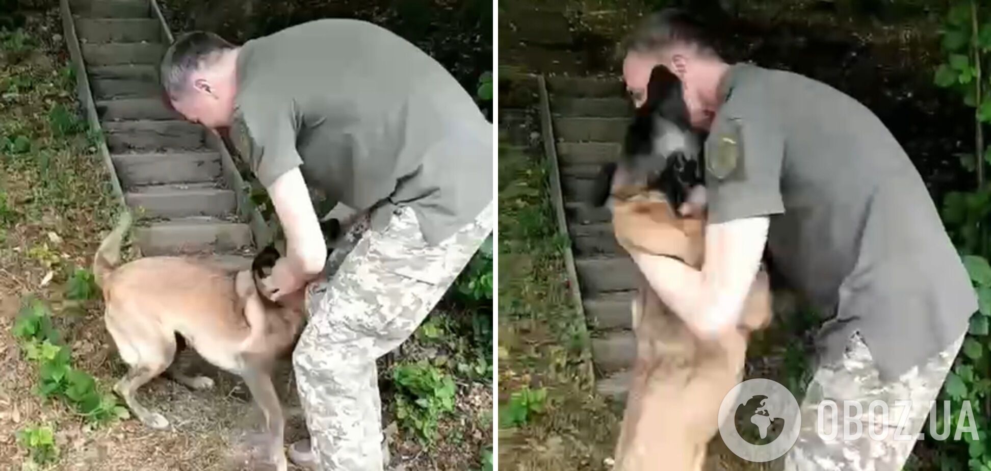 Перша зустріч собаки з господарем за 4 місяці