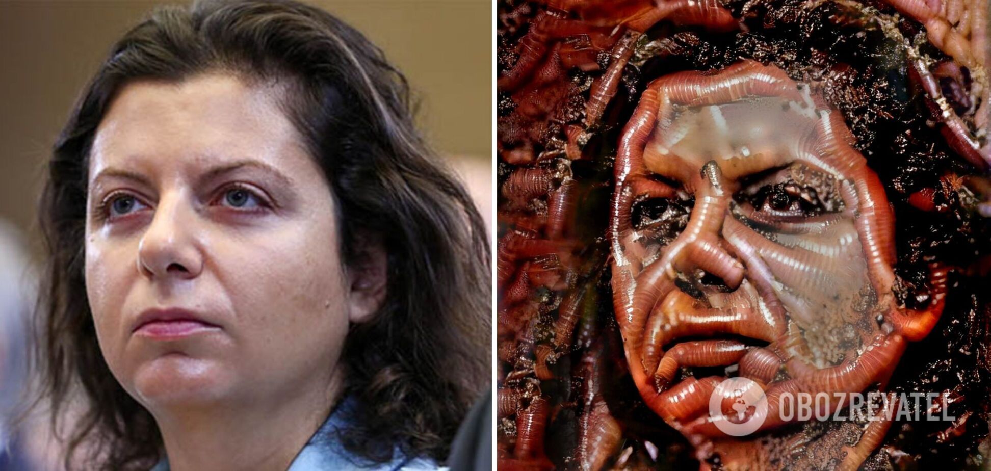 Справжнє обличчя пропаганди. Портрет Маргарити Симоньян із черв'яків та личинок вразив мережу