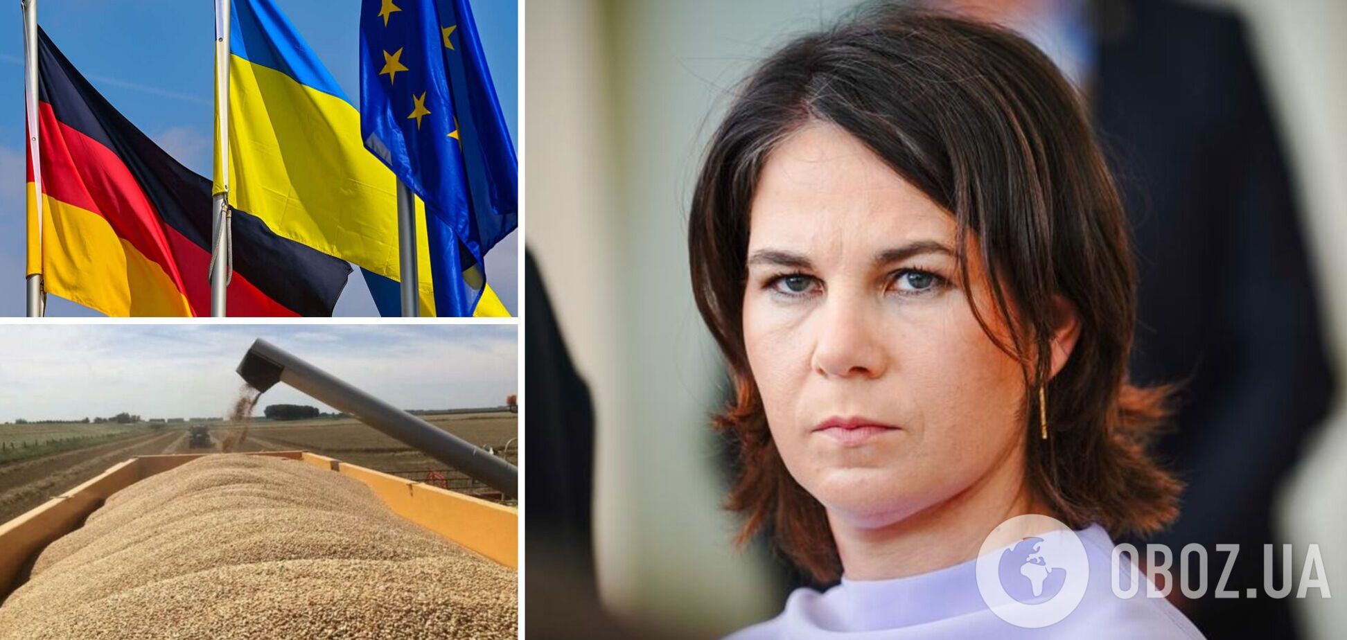 Бербок заявила, что ЕС должен более плотно координировать экспорт зерна из Украины