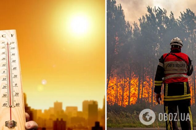У Британії +38, в Португалії +47: Європа потерпає від аномальної спеки, у деяких регіонах вирують пожежі. Фото