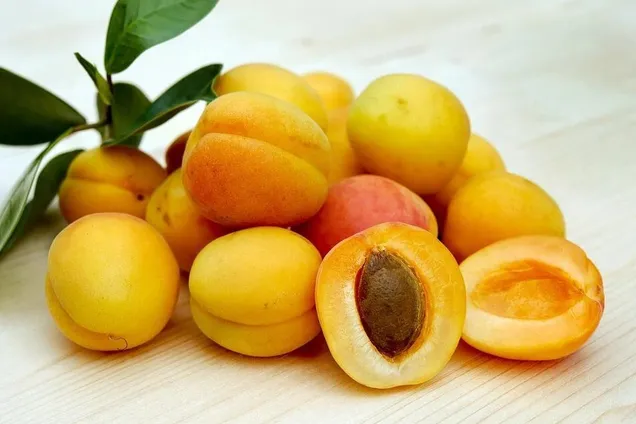 Рецепт абрикосів у сиропі на зиму