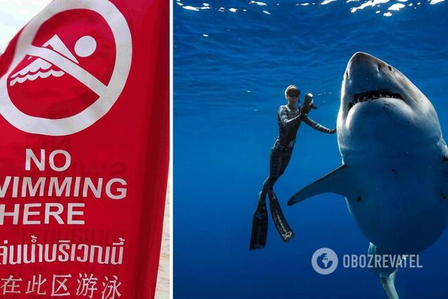 В Египте акула напала на туристку, откусив руку и ногу, женщина умерла. Видео