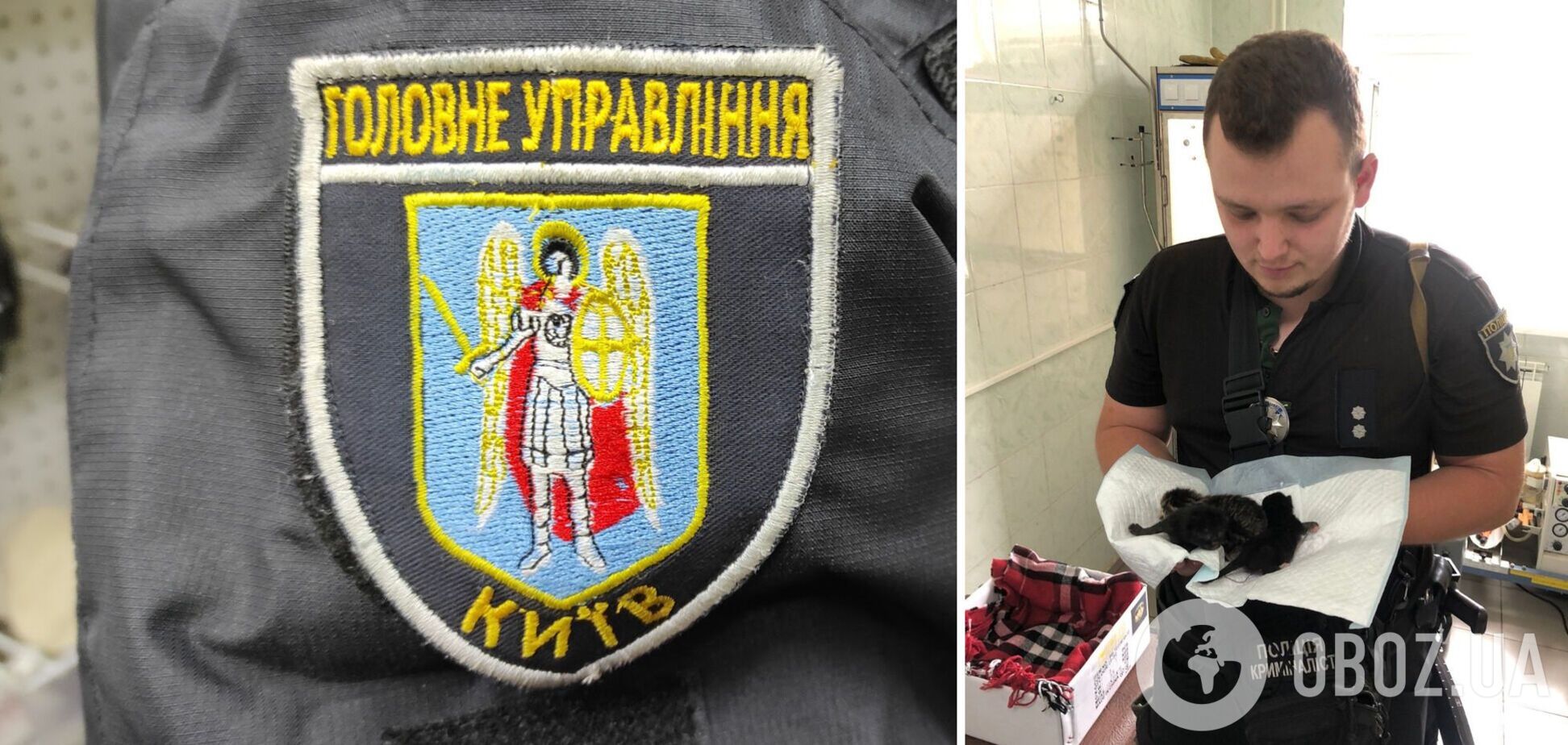 Полицейский спас троих новорожденных котят