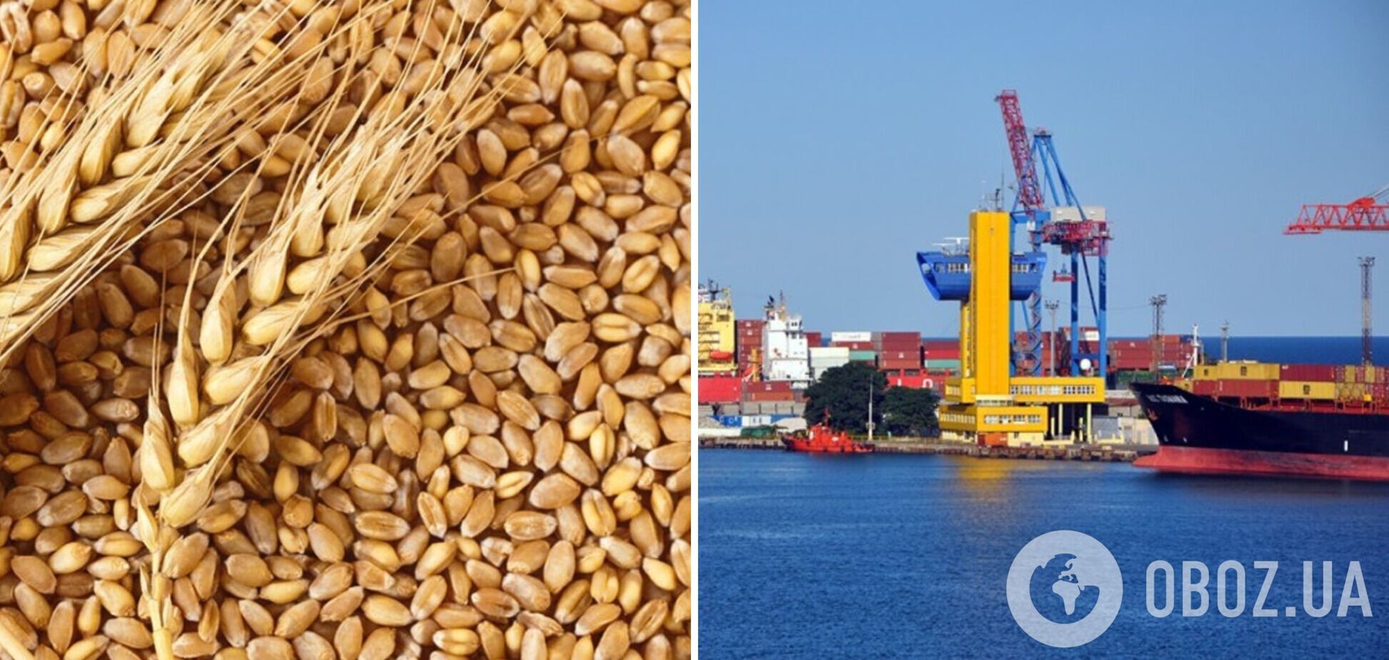 З яких українських портів експортуватимуть зерно