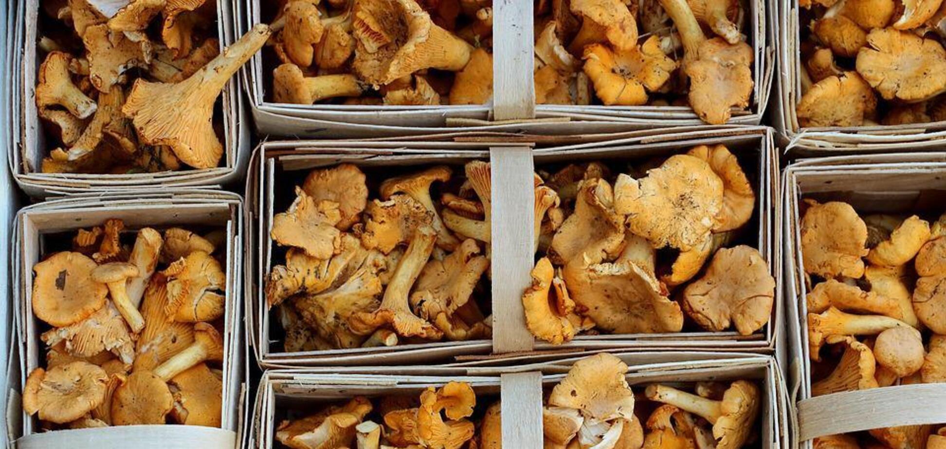 Як замаринувати гриби на зиму: рецепт вдалого маринаду