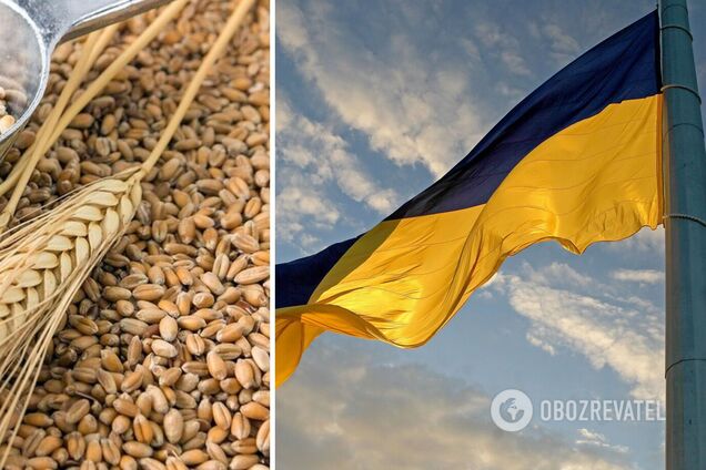 В МЗС України розповіли умови підписання зернової угоди