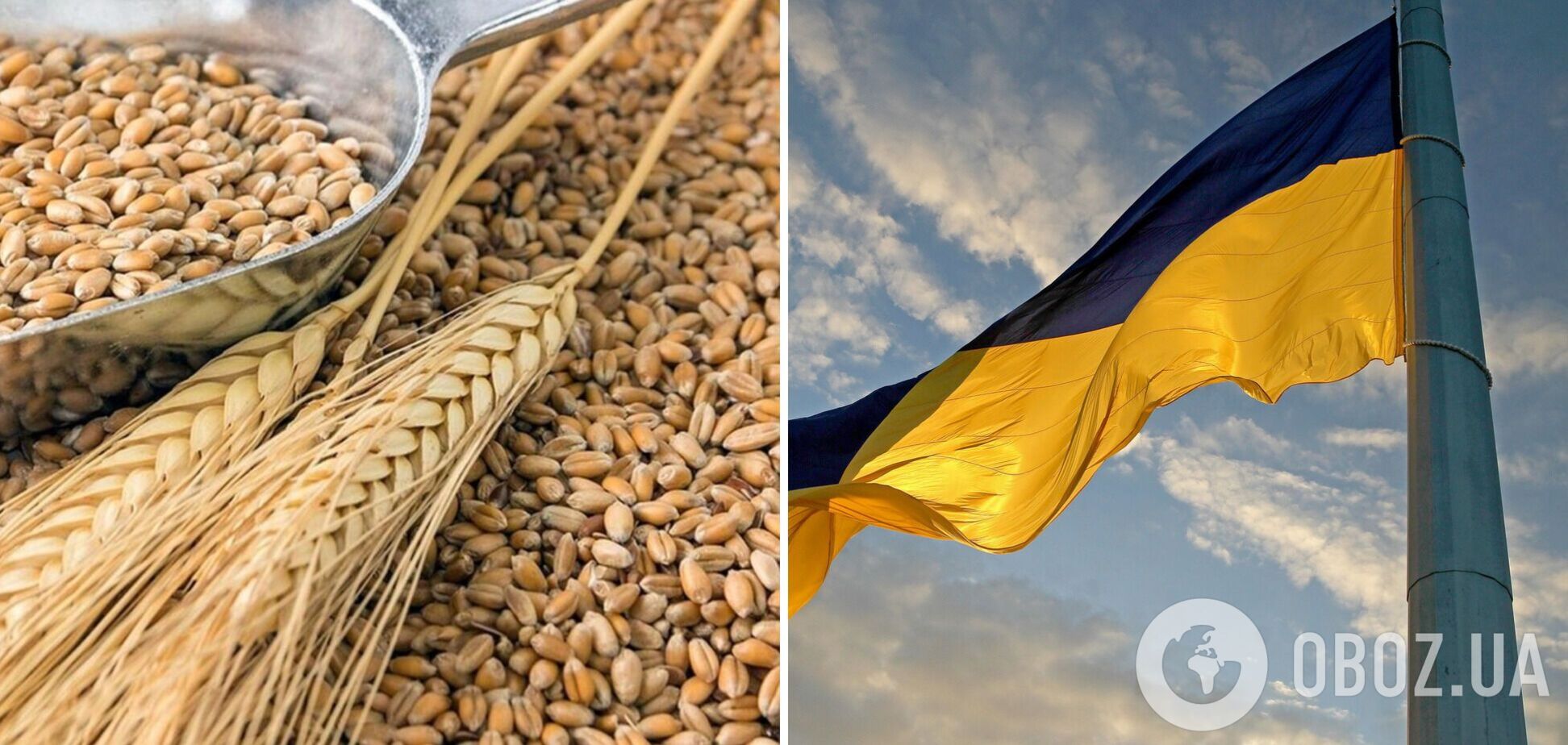 В МЗС України розповіли умови підписання зернової угоди