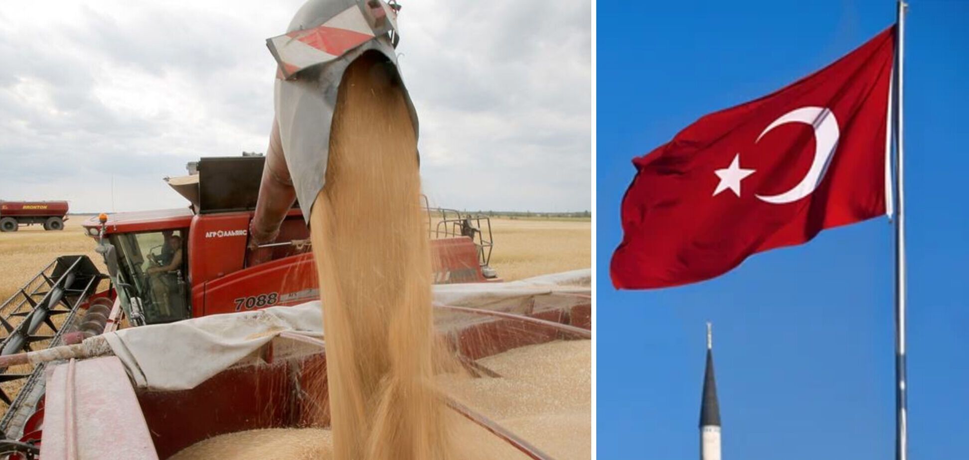 Турция предложит продлить 'зерновое соглашение' еще на год