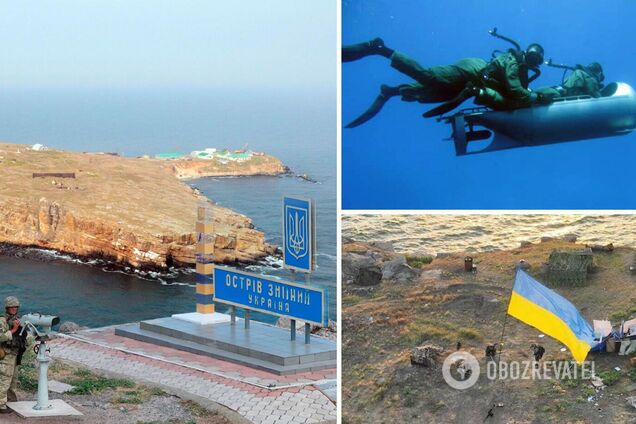 В освобождении Змеиного ВСУ помогали британские спецназовцы и морские скутеры Diver Propulsion Devices – The Sun