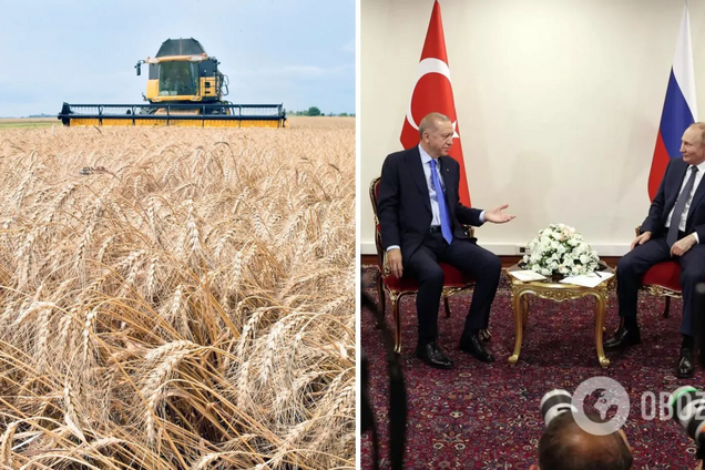 Ердоган все ще сподівається на виконання Росією умов 'зернової угоди'