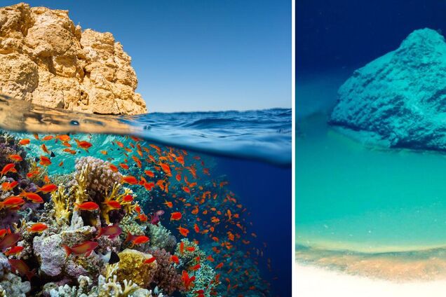 На дне Красного моря нашли смертоносный бассейн, убивающий все, что в него попадает