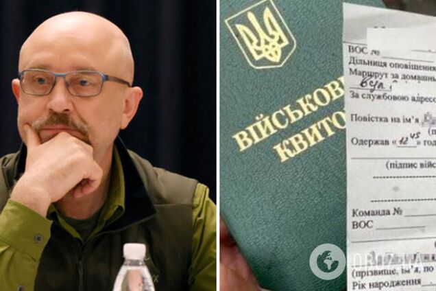 Резніков виступив проти вручення повісток українцям за правопорушення і назвав причину