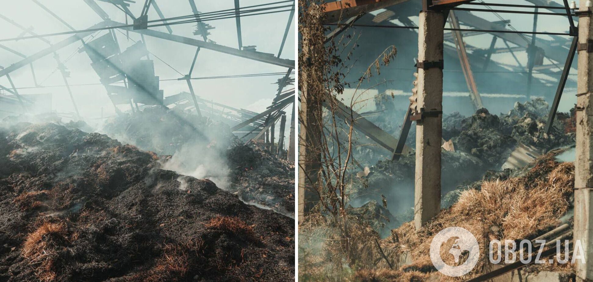 На Днепропетровщине две российские ракеты попали в сельхозпредприятие. Фото