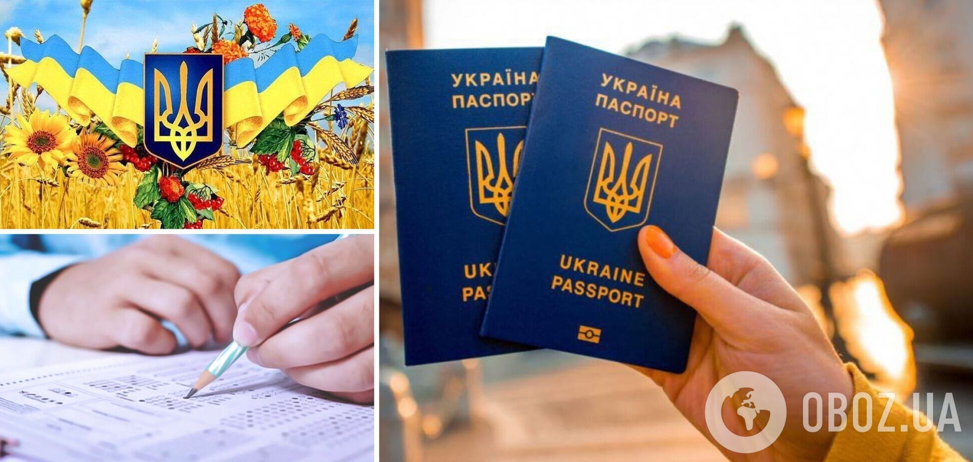 Желающие получить гражданство Украины должны будут сдать экзамены
