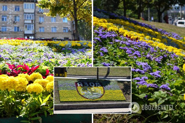 Клумбу создали возле Печерского моста