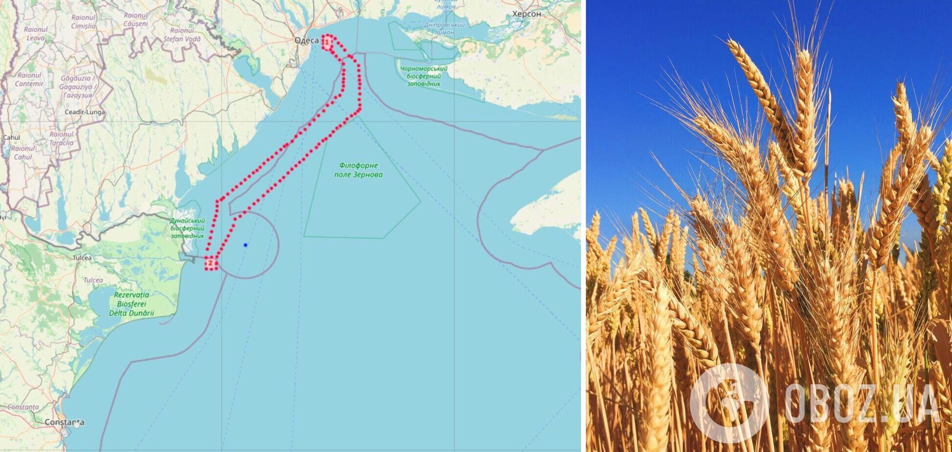 Як вивозитимуть зерно з України