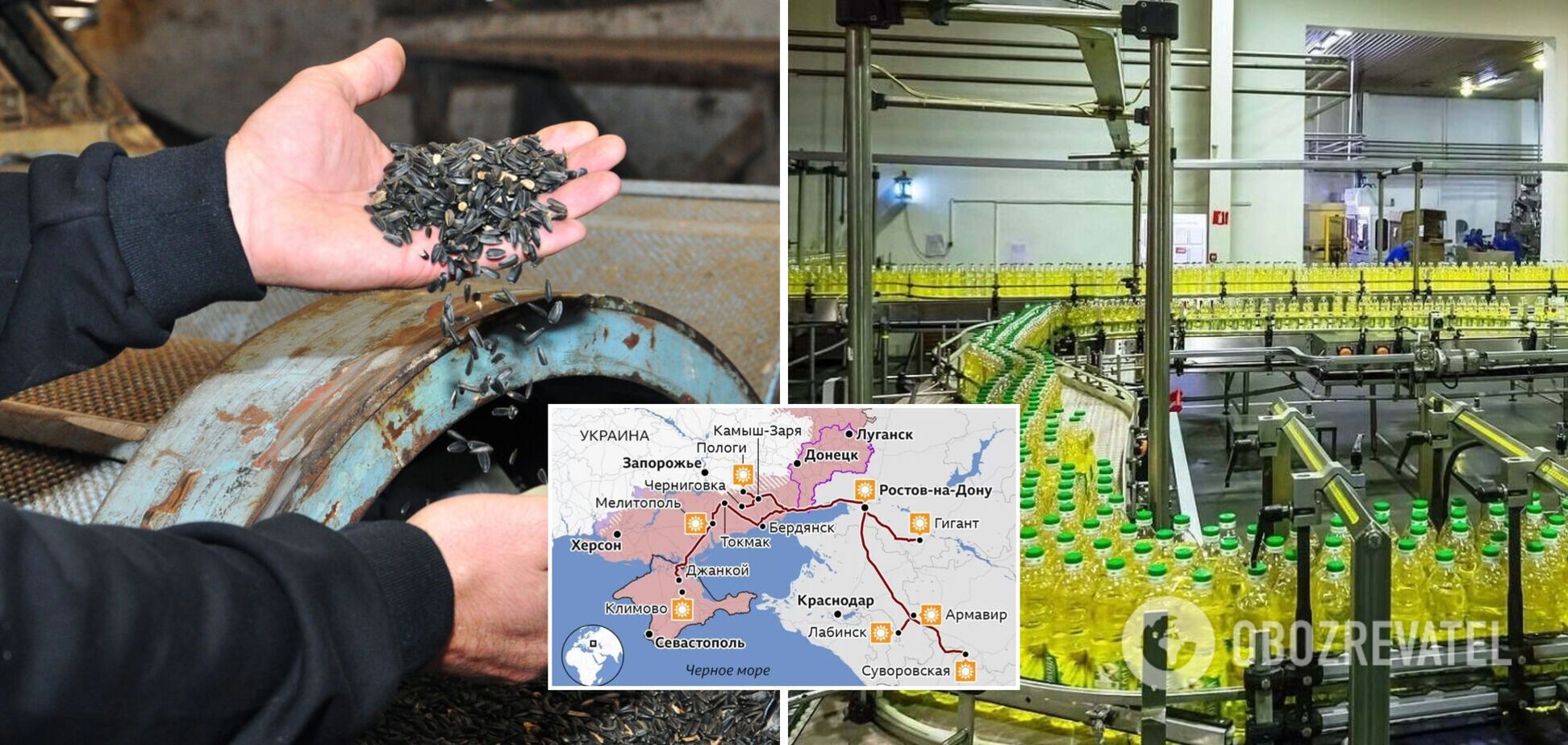 Россияне делают подсолнечное масло из краденого сырья