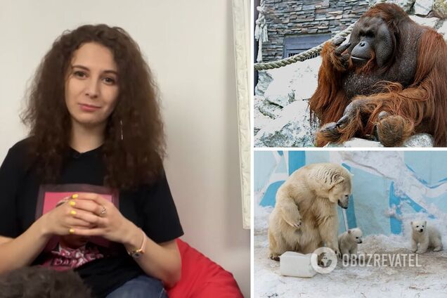 Украинская журналистка на примере зоопарка объяснила, почему нужно игнорировать Собчак, Шевчука и других 'хороших русских'