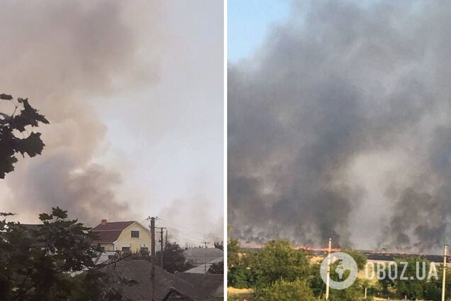 Партизани підпалили поля із зерном під Маріуполем