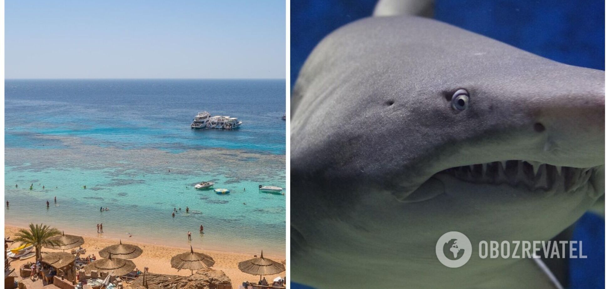 У Єгипті вирішили закрити кілька пляжів для туристів через смертельні напади акули